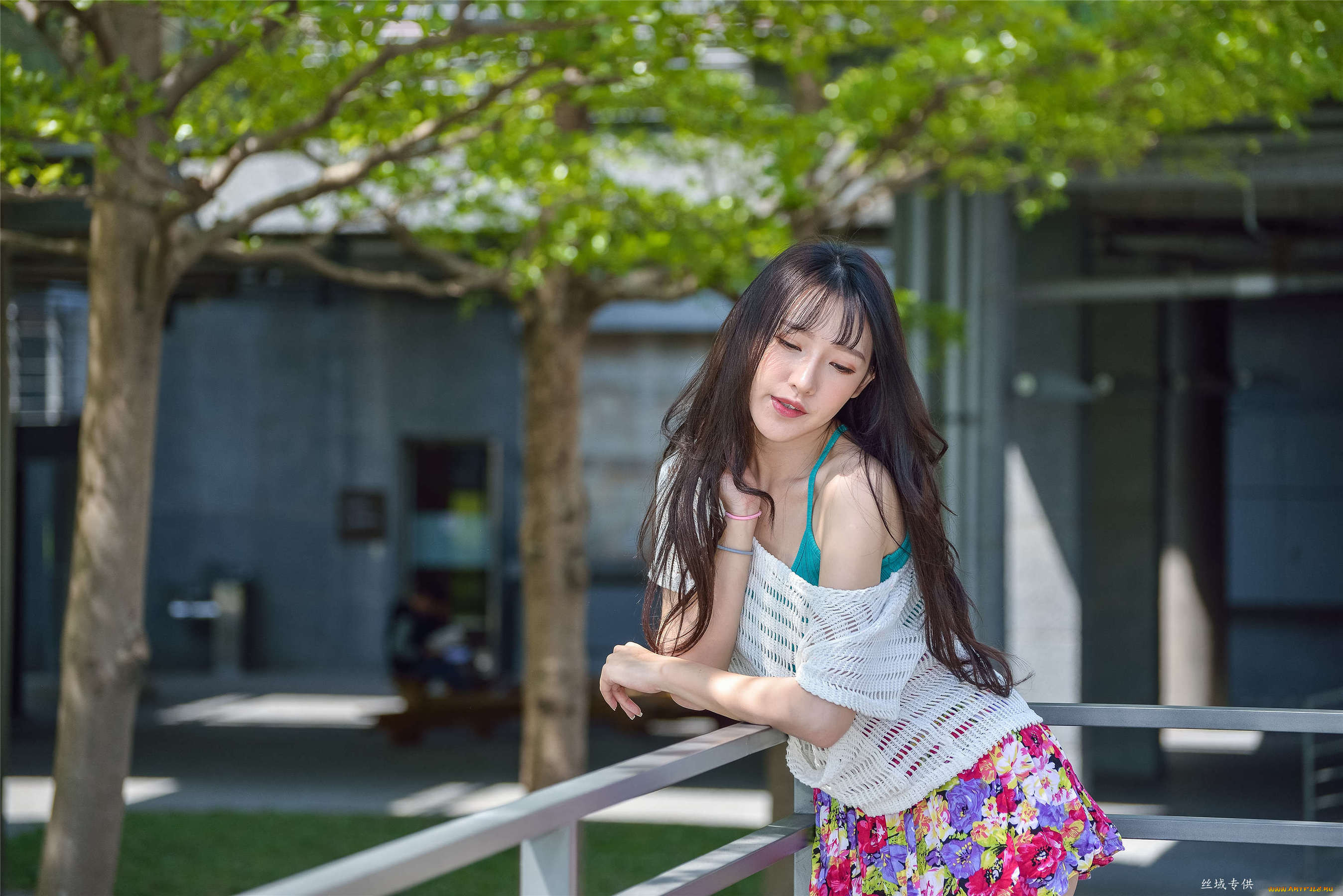 zhengmei bibi, , , , , , 